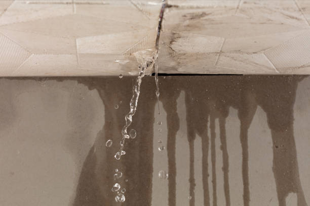 Professional Structural Drying technician working in Fulshear, TX